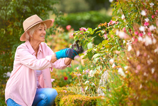 Gardener