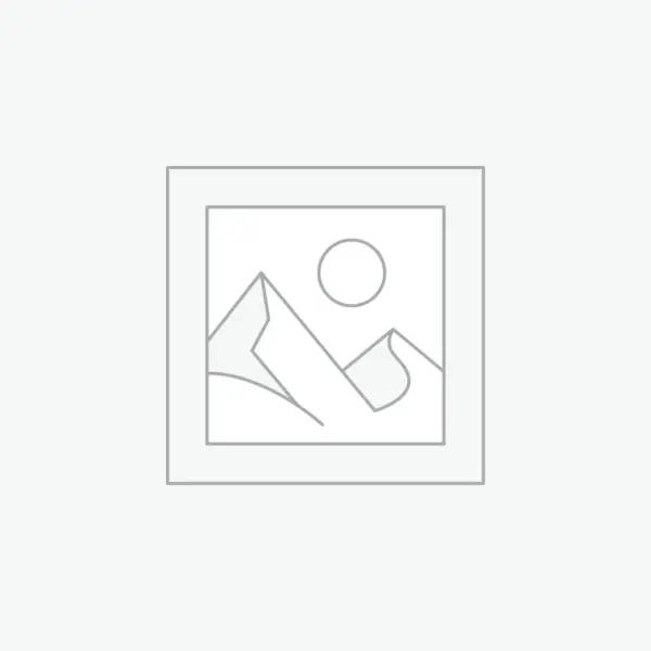 Minimalist Vase Set – 3 Colorful Ceramic Vases